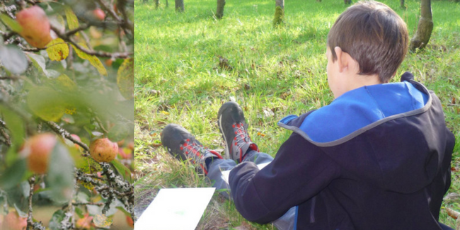 Réalisation d'un carnet de nature à base de croquis et aquarelle en famille à la Cidrerie Kerné 