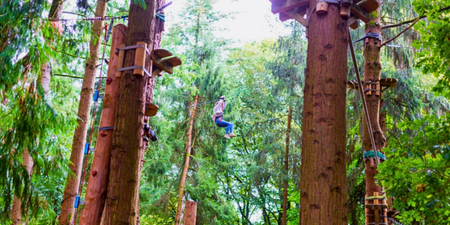 Profitez en famille des activités de pleine nature au parc aventure Adrénature à Melgven