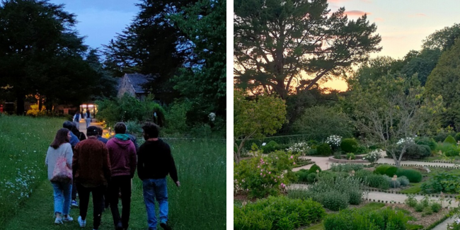Nouveauté ! Les nocturnes de l'Abbaye de Daoulas en famille