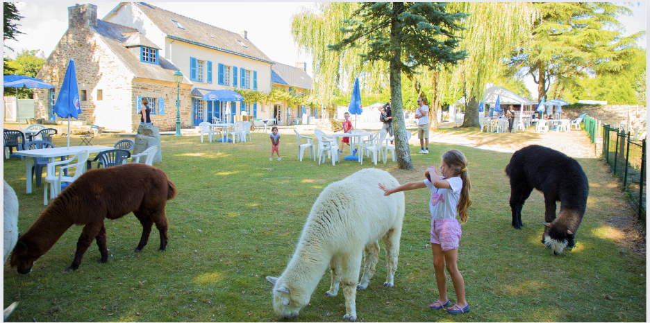 Profitez de la nature en famille au Parc du Quinquis et Parcabout à Clohars Carnoët