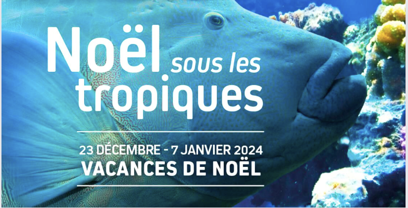 Noël sous les tropiques à Océanopolis - Brest