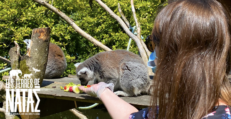 Soigneur d'un jour en famille au parc animalier Les Terres de Nataé à Pont-Scorff