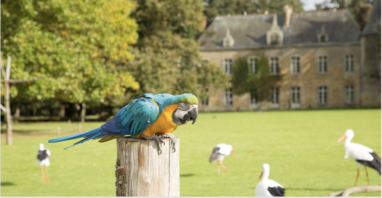 Fêtons le Printemps en famille au Parc de Branféré