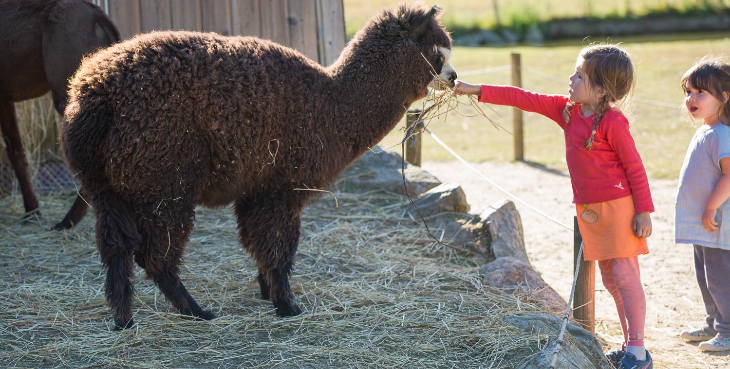 Un week-end en famille au parc animalier de Branféré