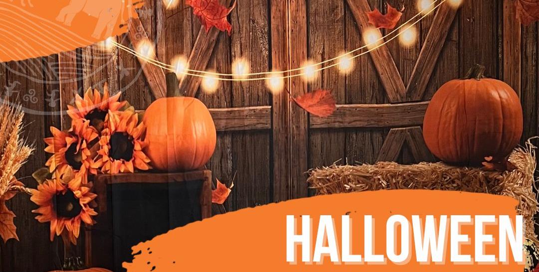 HALLOWEEN AUX TERRES DE NATAÉ