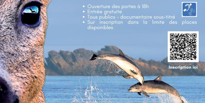  Iroise Sauvage : Voyage au cœur de la biodiversité en Iroise - Projection-débat à Océanopolis, Brest 