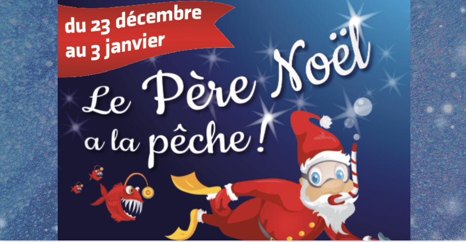 Vacances de Noël à Haliotika - Port du Guilvinec