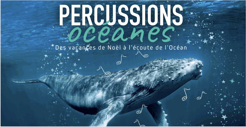 Percussions océanes - spectacles et ateliers créatifs pour les vacances de noël à Océanopolis, Brest