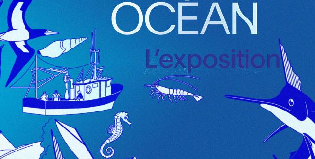 OCÉAN - Exposition immersive à Ostréapolis