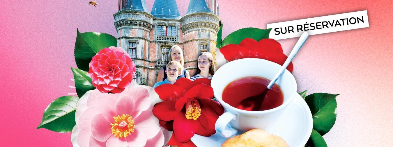 Le thé : du Camélia à la tasse au Domaine de Trévarez Le thé : du Camélia à la tasse au Domaine de Trévarez