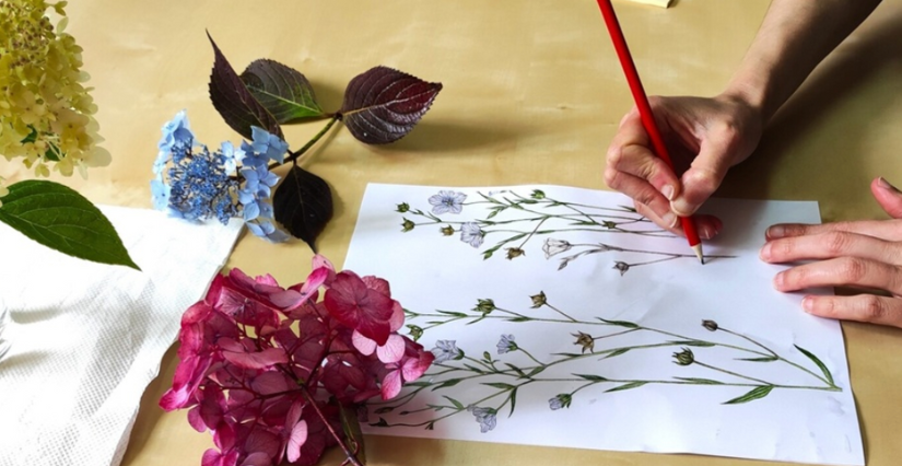 Les dimanches Hortensias #2 Atelier "L’hortensia en aquarelle" au château de Trévarez Les dimanches Hortensias #2 Atelier "L’hortensia en aquarelle" au château de Trévarez