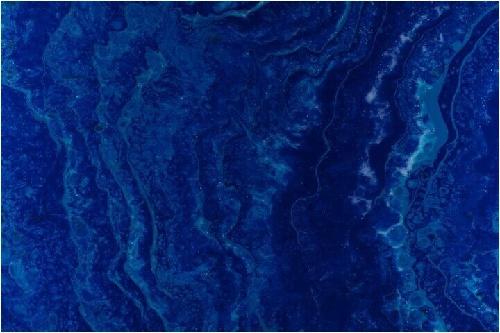 Stage de cyanotype "imprimés de matière" dès 12 ans au Musée de la pêche de Concarneau
