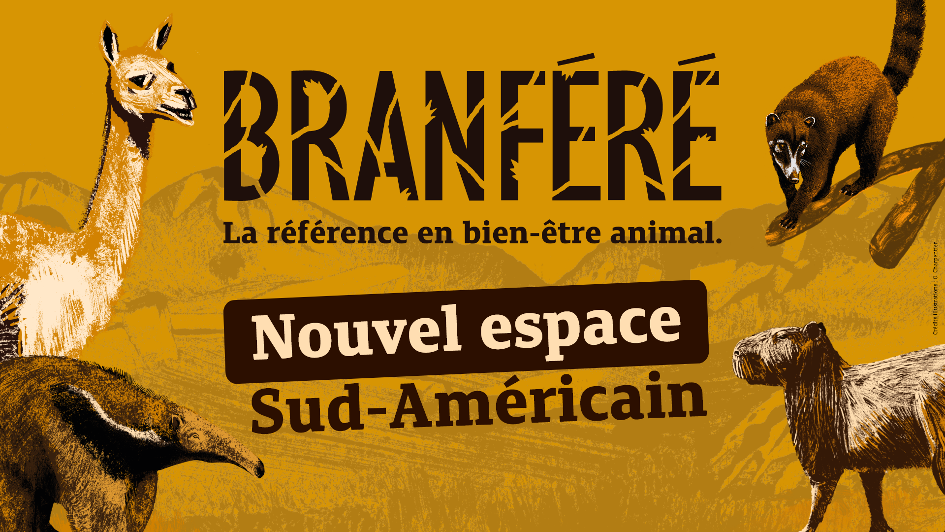 Nouvelle plaine sud américaine à découvrir cet été à Branféré