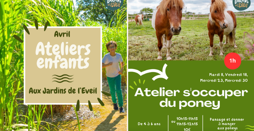 S'occuper du poney - Atelier nature pour enfants de 4 à 6 ans aux Jardins de l'Éveil à Saint-Thonan S'occuper du poney - Atelier nature pour enfants de 4 à 6 ans aux Jardins de l'Éveil à Saint-Thonan