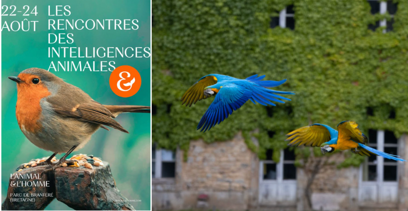 Événement "Rencontres des Intelligences Animales" – Parc animalier et botanique de Branféré, Le Guerno