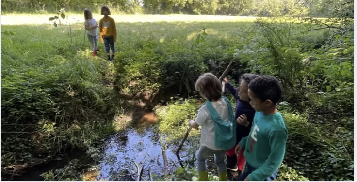 l'école de la forêt du Pays de Brest © Forest school Brest