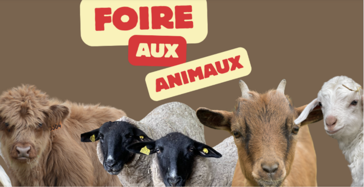 Grande Foire aux animaux à la Ferme du Monde à Carentoir