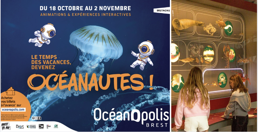 Devenez Océanautes à Océanopolis pour les vacances de la Toussaint!