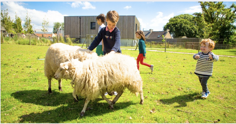 Animations poney et ateliers créatifs pour les enfants - vacances de la Toussaint aux Jardins de l'Éveil à Saint-Thonan