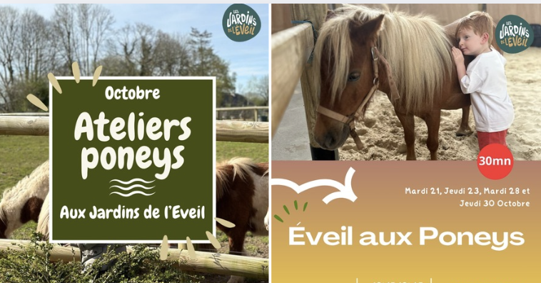 Atelier éveil au poney parent/enfants -4 ans aux Jardins de l'Éveil à Saint-Thonan