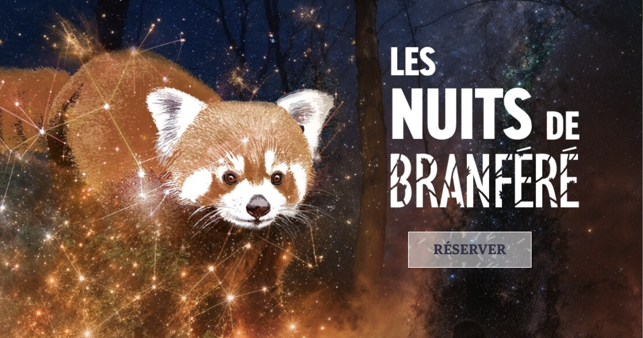 Les Nuits de Branféré – Spectacle son et lumière magique au cœur du parc animalier à partager en famille
