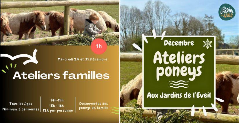 Ateliers découverte des poneys en famille aux Jardins de l'Éveil à Saint-Thonan