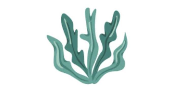 Mon petit alguier sous le sapin - atelier 3-6 ans à Ostréapolis, Le Tour-du-Parc