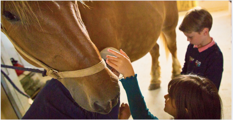 Animations découverte du poney pour les enfants dès 1 ans - vacances de noël aux Jardins de l'Éveil à Saint-Thonan