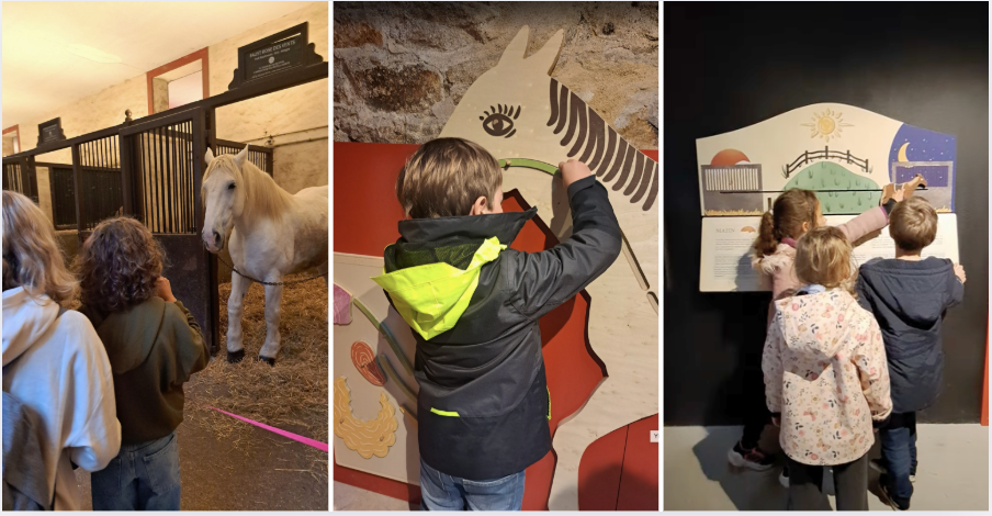 Parcours de visite ludique à la découverte du prestigieux haras d'Hennebont 