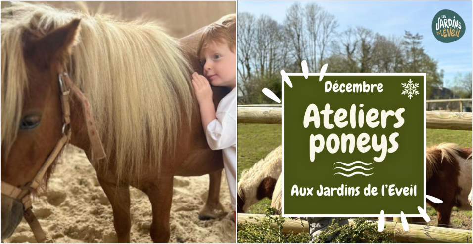 Animations découverte du poney pour les enfants dès 1 ans - vacances de noël aux Jardins de l'Éveil à Saint-Thonan