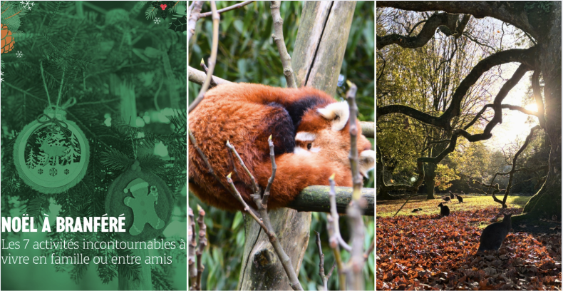 Vacances de Noël à Branféré : 7 activités féeriques pour toute la famille