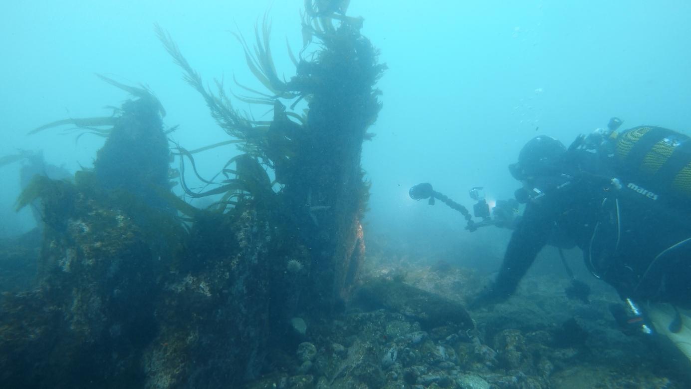 Un mur de 7500 ans sous la mer à l’île de Sein ! Conférence au Port-Musée de Douarnenez 