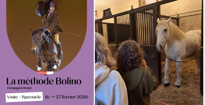 Visite-spectacle « La Méthode Bolino » pour les vacances d'hiver au Haras National d’Hennebont