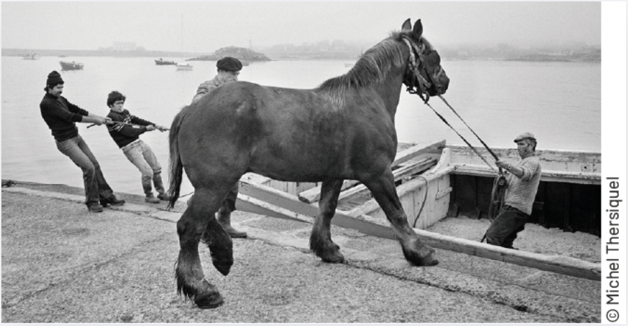 « Les animaux » de Michel Thersiquel - Histoires et jeux pour enfants de 3 à 6 ans au Port Musée de Douarnenez