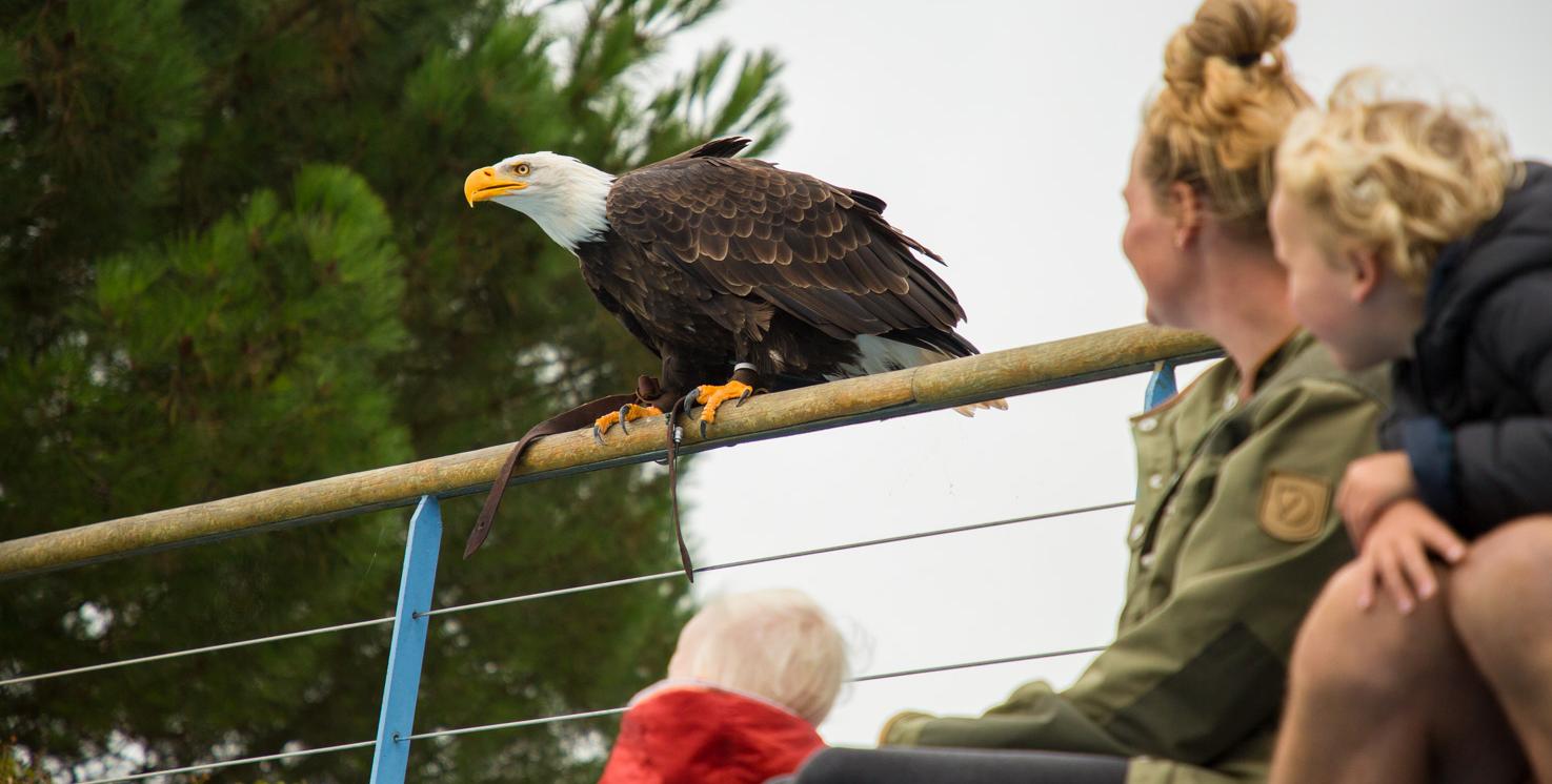 Les vacances d'hiver à l'Aquashow en famille à Audierne