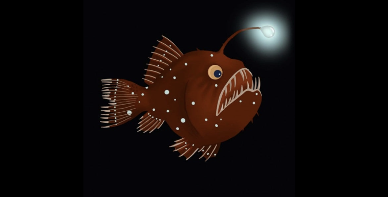 Atelier 3-6 ans : Chapi chapo ! La baudroie des abysses à Ostréapolis - Le Tour-du-Parc