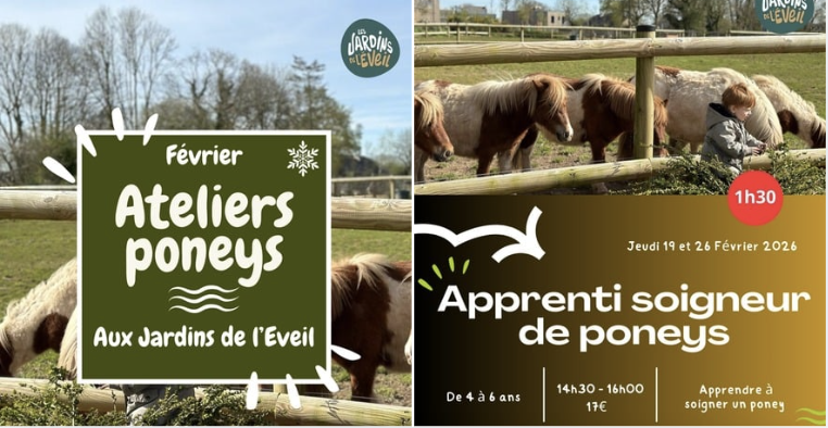 Apprenti soigneur de poneys pour les enfants 4-6 ans aux Jardins de l'Éveil à Saint-Thonan