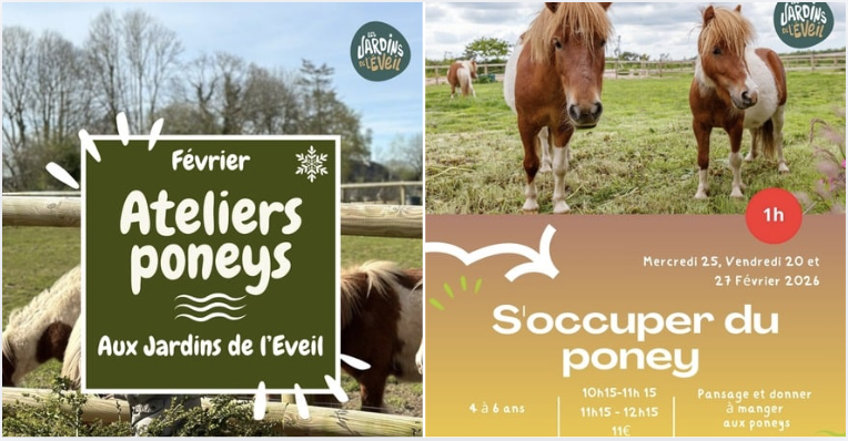 S'occuper du poney - Atelier nature pour enfants de 4 à 6 ans aux Jardins de l'Éveil à Saint-Thonan