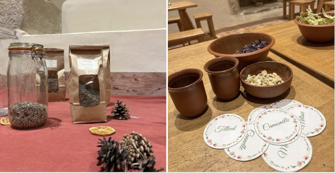 Les secrets des plantes - atelier d’herboristerie en famille au domaine de Suscinio 