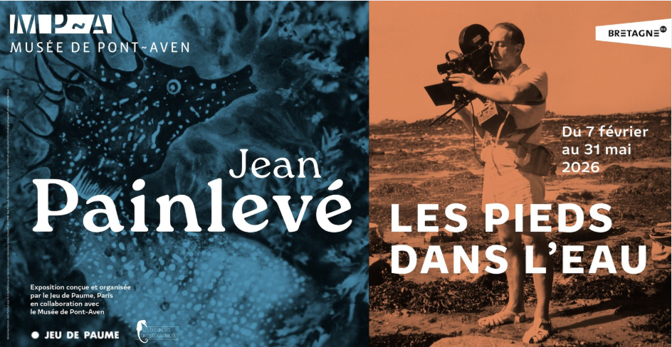 Animations de l'hiver autour de l'expo "Jean Painlevé, les pieds dans l'eau " au Musée de Pont-Aven