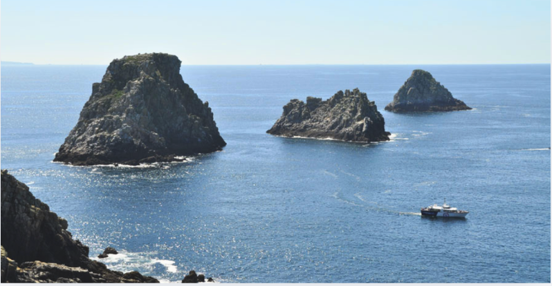 Balade en mer vers la Pointe de Pen-Hir et les Tas de Pois au départ de Camaret-sur-Mer