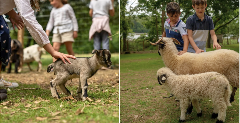 Mini-ferme pédagogique de l'Orangerie de Lanniron et accès jardins et loisirs à L'Orangerie de Lanniron - Quimper