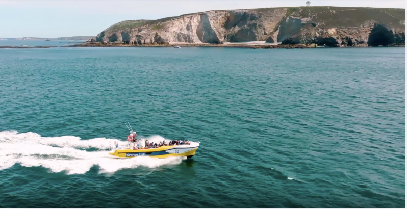 Balade en bateau vers le Cap de la Chèvre et l’Anse de Saint-Nicolas : une sortie nature en famille sur la Presqu’île de Crozon