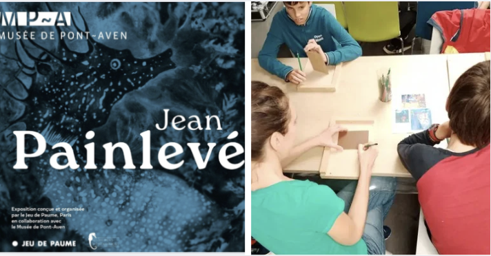 Une Journée Famille Inoubliable au Musée de Pont-Aven : Plongez dans l'Univers de Jean Painlevé