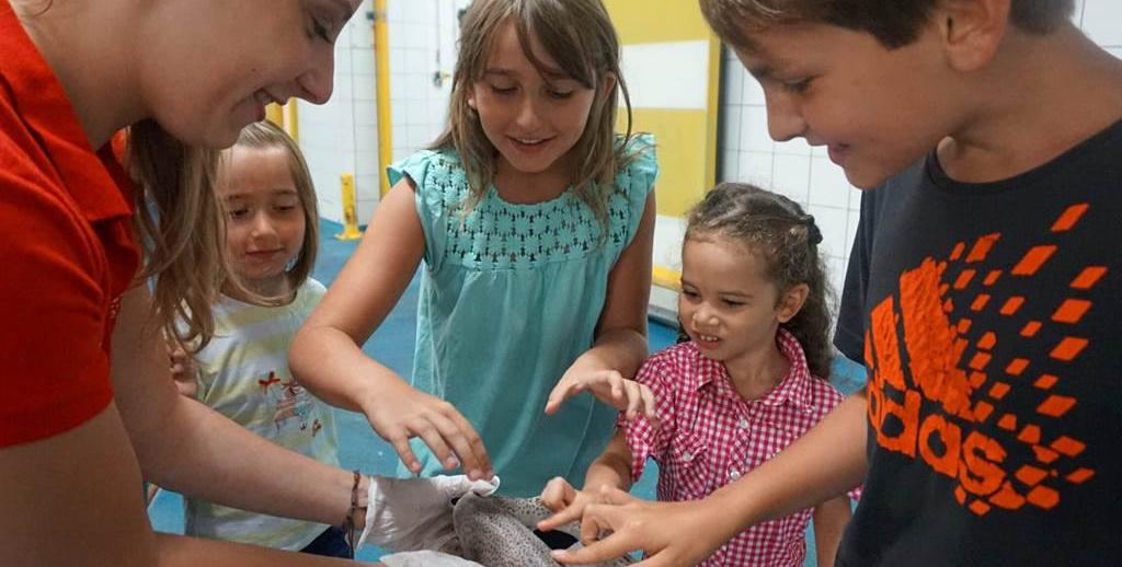 Découverte des poissons : Visite ludique en famille à Haliotika au Guilvinec