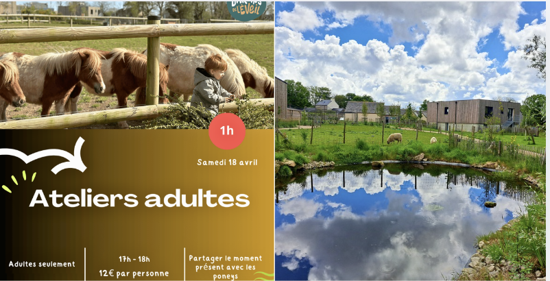 Ateliers adultes découverte des poneys aux Jardins de l'Éveil à Saint-Thonan