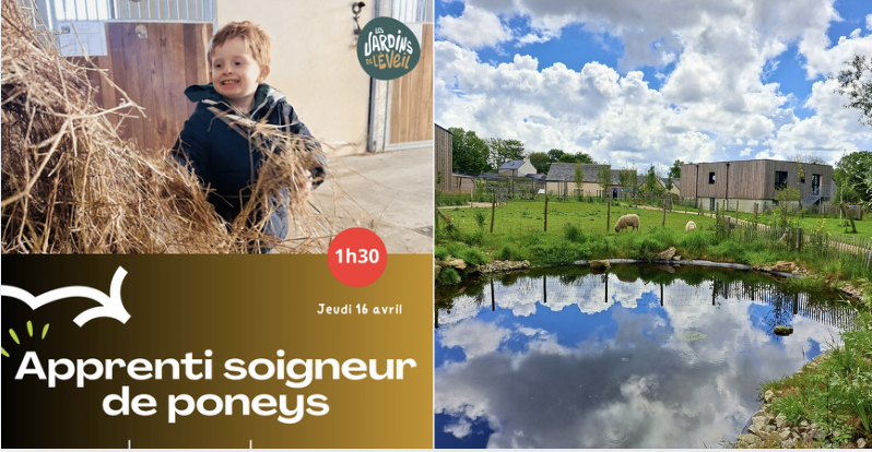 Apprenti soigneur de poneys pour les enfants 4-6 ans aux Jardins de l'Éveil à Saint-Thonan