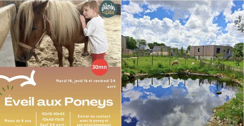 Atelier éveil au poney parent/enfants -4 ans aux Jardins de l'Éveil à Saint-Thonan