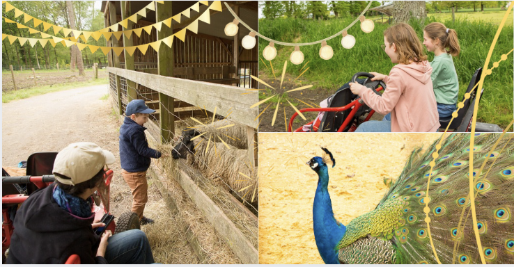 30 ans de la Ferme du Monde : une journée anniversaire incontournable en famille