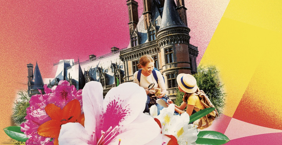 Les rhododendrons, saison botanique 2026 au Domaine de Trévarez